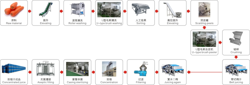 胡萝卜果汁生产工艺_副本.jpg